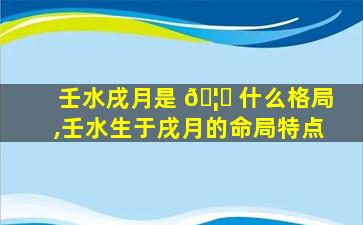 壬水戌月是 🦋 什么格局,壬水生于戌月的命局特点